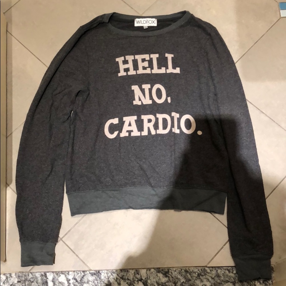 Wildfox sweatshirt